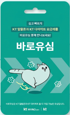 KT 바로유심