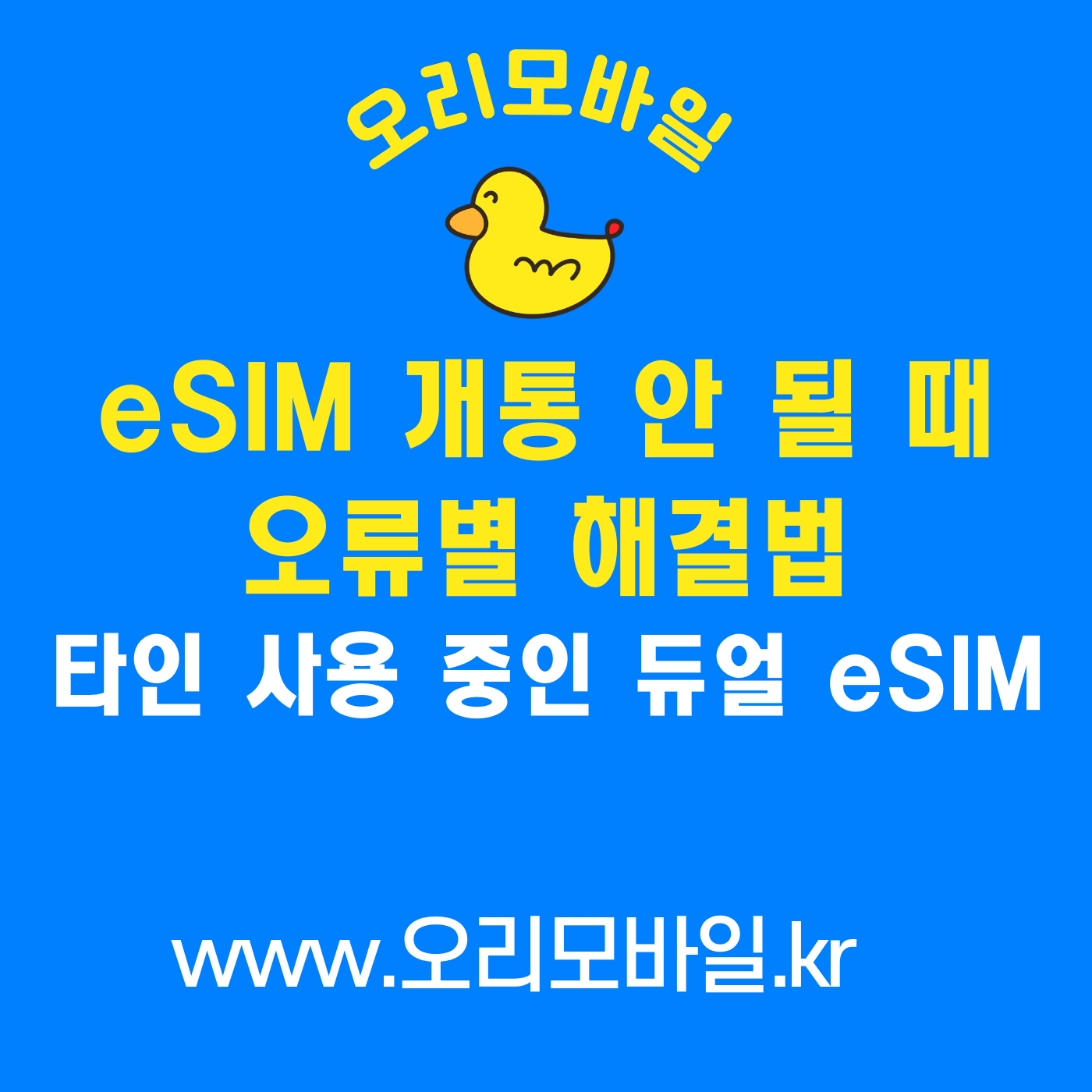 eSIM 개통 안 될 때 오류 해결 타인 사용 중인 듀얼 eSIM 단말기 CinDto