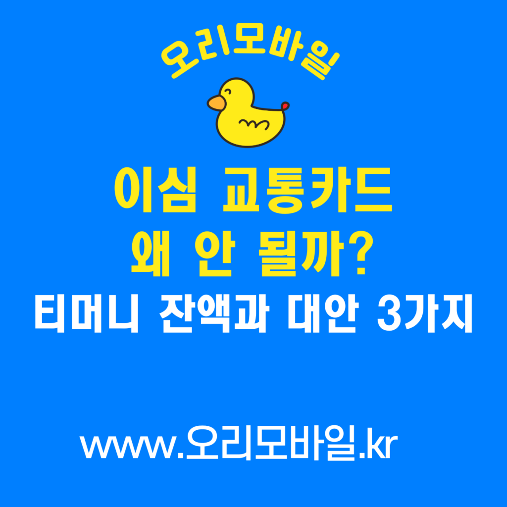 이심 교통카드 안 되는 이유 eSIM NFC 유심 티머니 잔액 대안